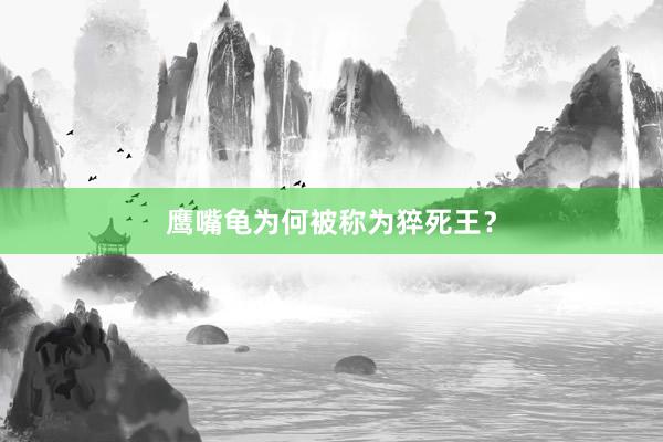 鹰嘴龟为何被称为猝死王？